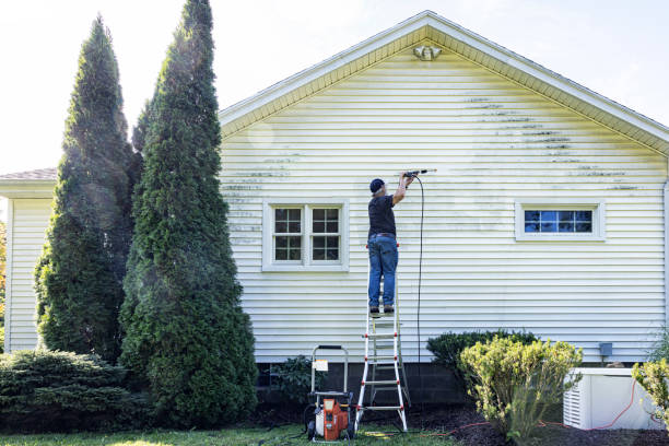 Best Affordable Power Washing  in Fritch, TX